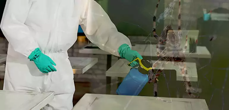 Why Buyers Still Want Homes With Pest Infestations in Pittsfield, MA?