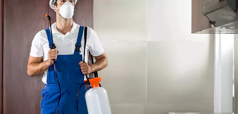Why Pittsfield Homeowners Choose Us When Pests Make Selling Difficult