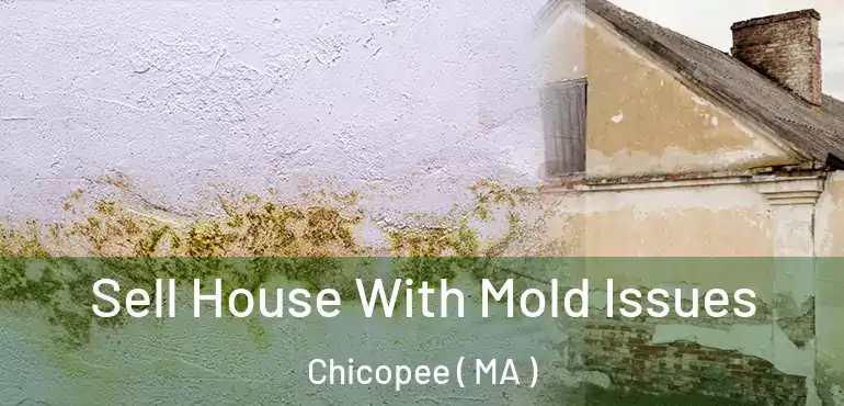  Sell House With Mold Issues Chicopee ( MA )