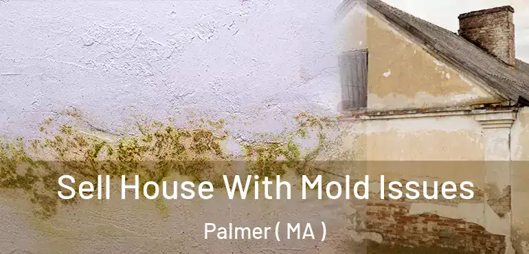  Sell House With Mold Issues Palmer ( MA )