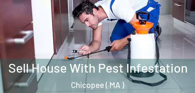  Sell House With Pest Infestation Chicopee ( MA )